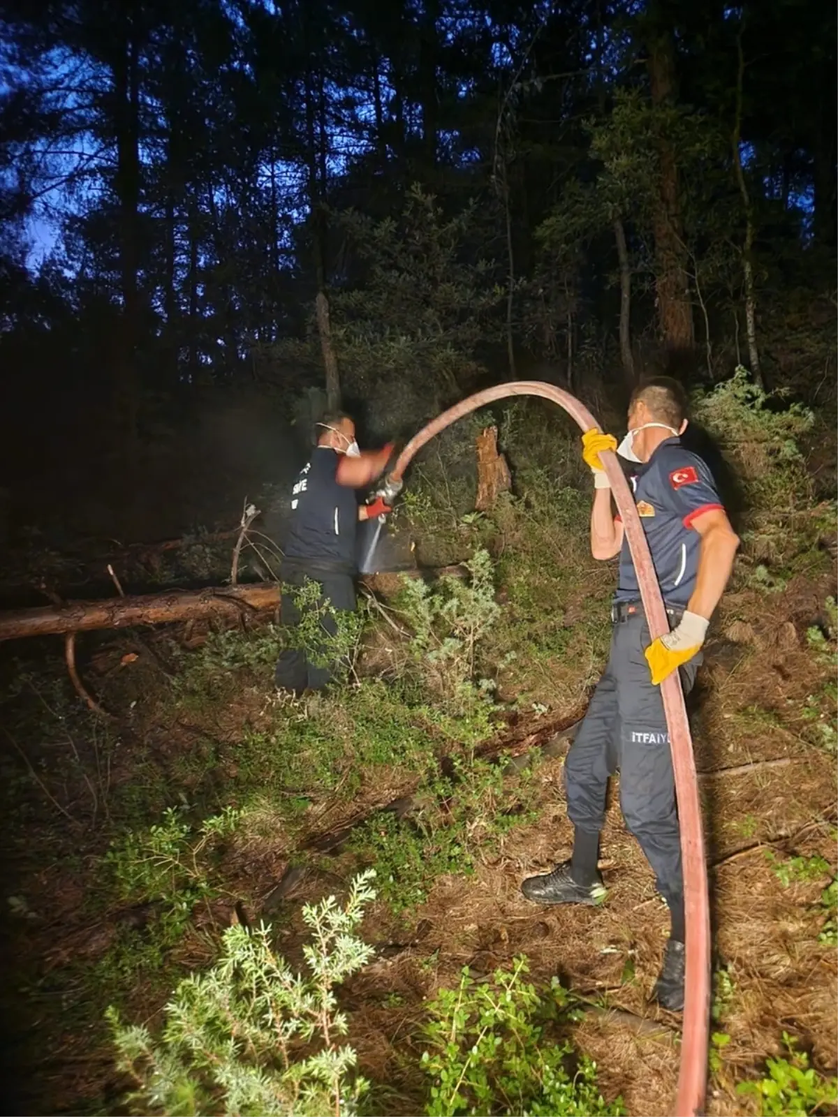 Sinop'un Gerze İlçesinde Orman Yangını Kontrol Altına Alındı