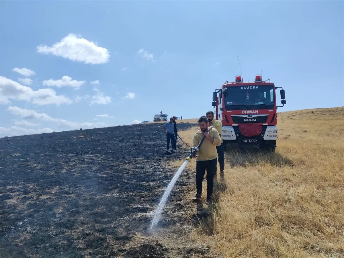 Giresun Alucra'da Yangın Söndürüldü
