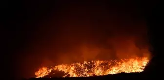 Giresun'da Çöp Toplama Alanında Yangın Kontrol Altına Alındı