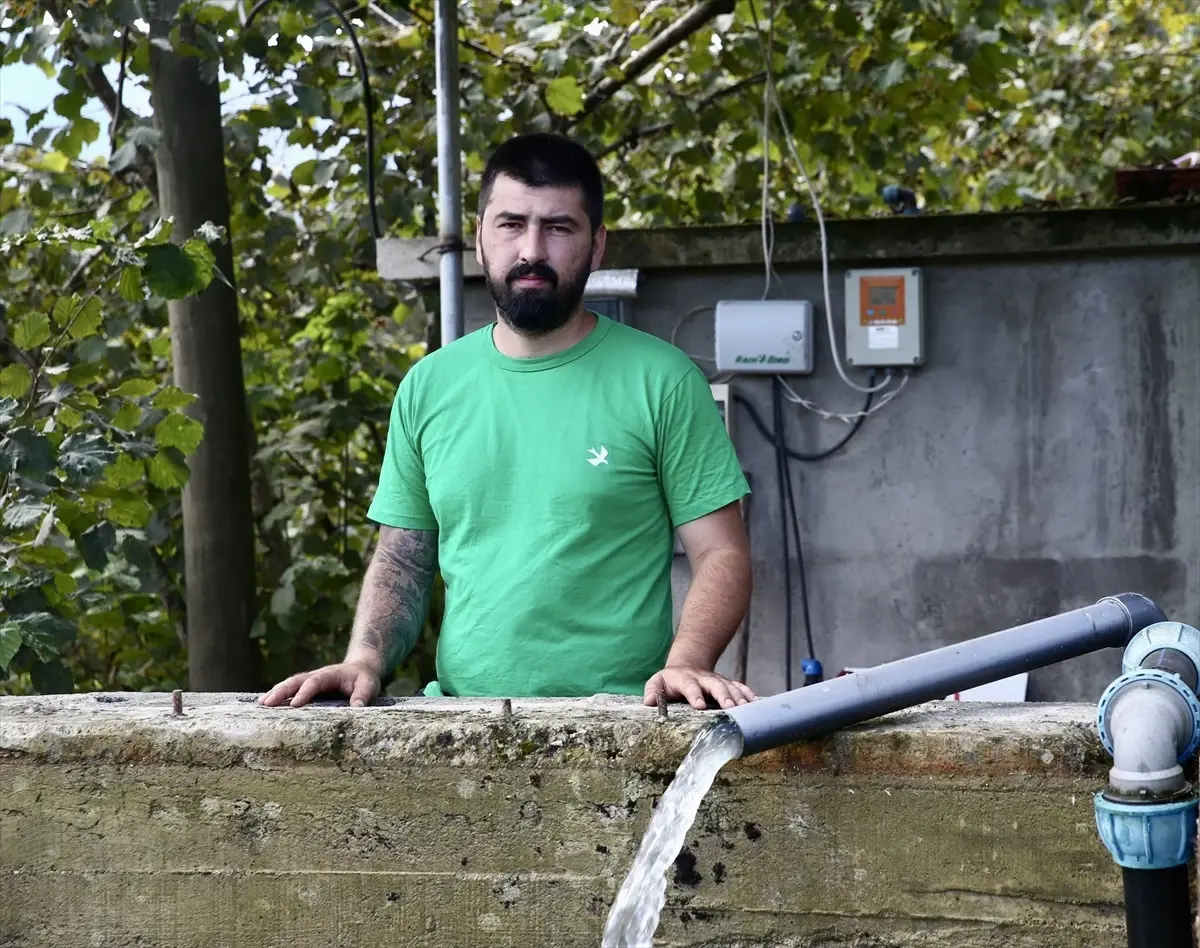 Giresun'da Damla Sulama ile Fındık Verimi İki Kat Artırıldı