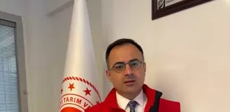 Giresun'da Hastalıktan Ari İşletmelere Destek