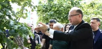 Giresun'da Kahverengi Kokarca ile Mücadele İçin Samuray Arıları Doğaya Salındı