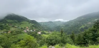 Giresun'da Artan Turizm Hareketliliği Esnafı Sevindiriyor