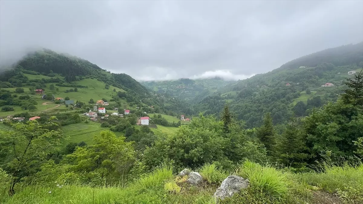 Giresun'da Artan Turizm Hareketliliği Esnafı Sevindiriyor