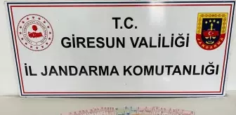 Giresun'da Uyuşturucu Operasyonunda Bir Tutuklama