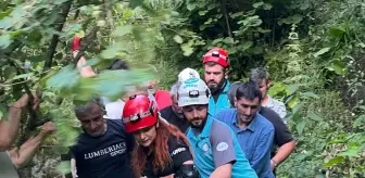 Giresun'da Yamaçtan Yuvarlanan 75 Yaşındaki Adam Yaralandı