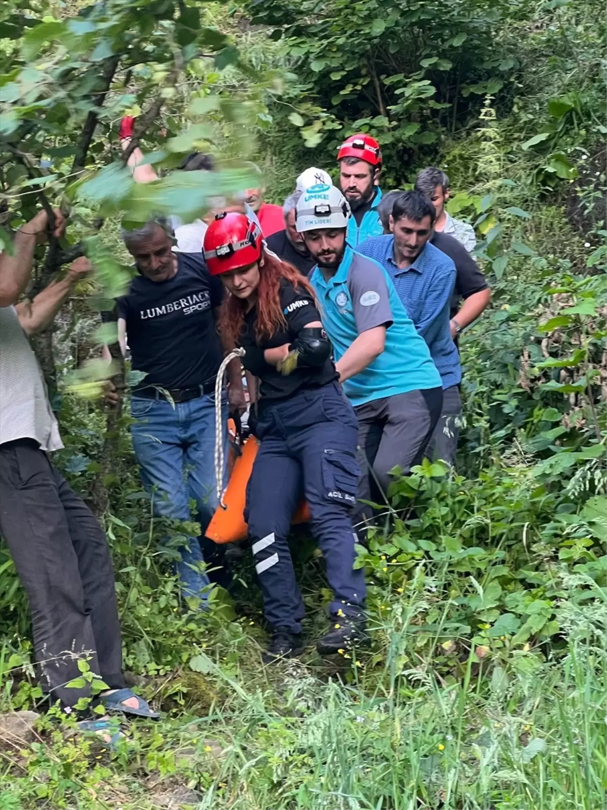 Giresun'da Yamaçtan Yuvarlanan 75 Yaşındaki Adam Yaralandı