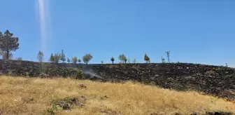 Gölbaşı'nda otluk alanda çıkan yangın söndürüldü