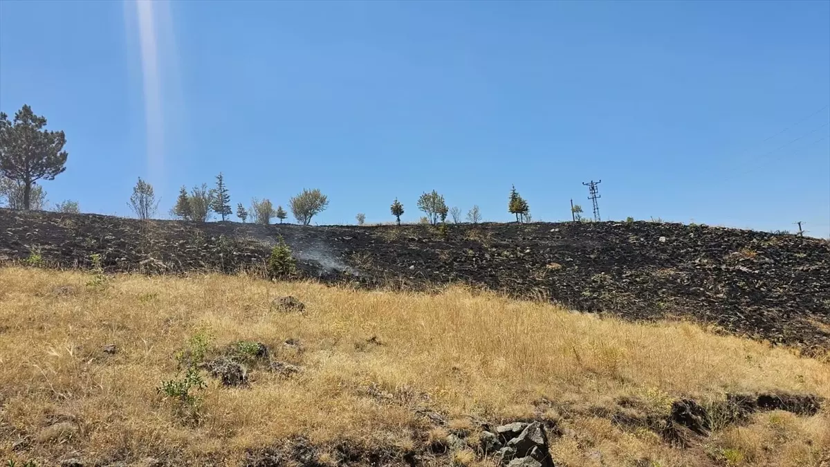 Gölbaşı'nda otluk alanda çıkan yangın söndürüldü