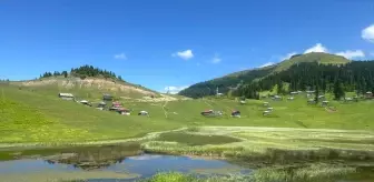 Gölyanı Yaylası, Yeni Turizm Destinasyonu Olma Yolunda
