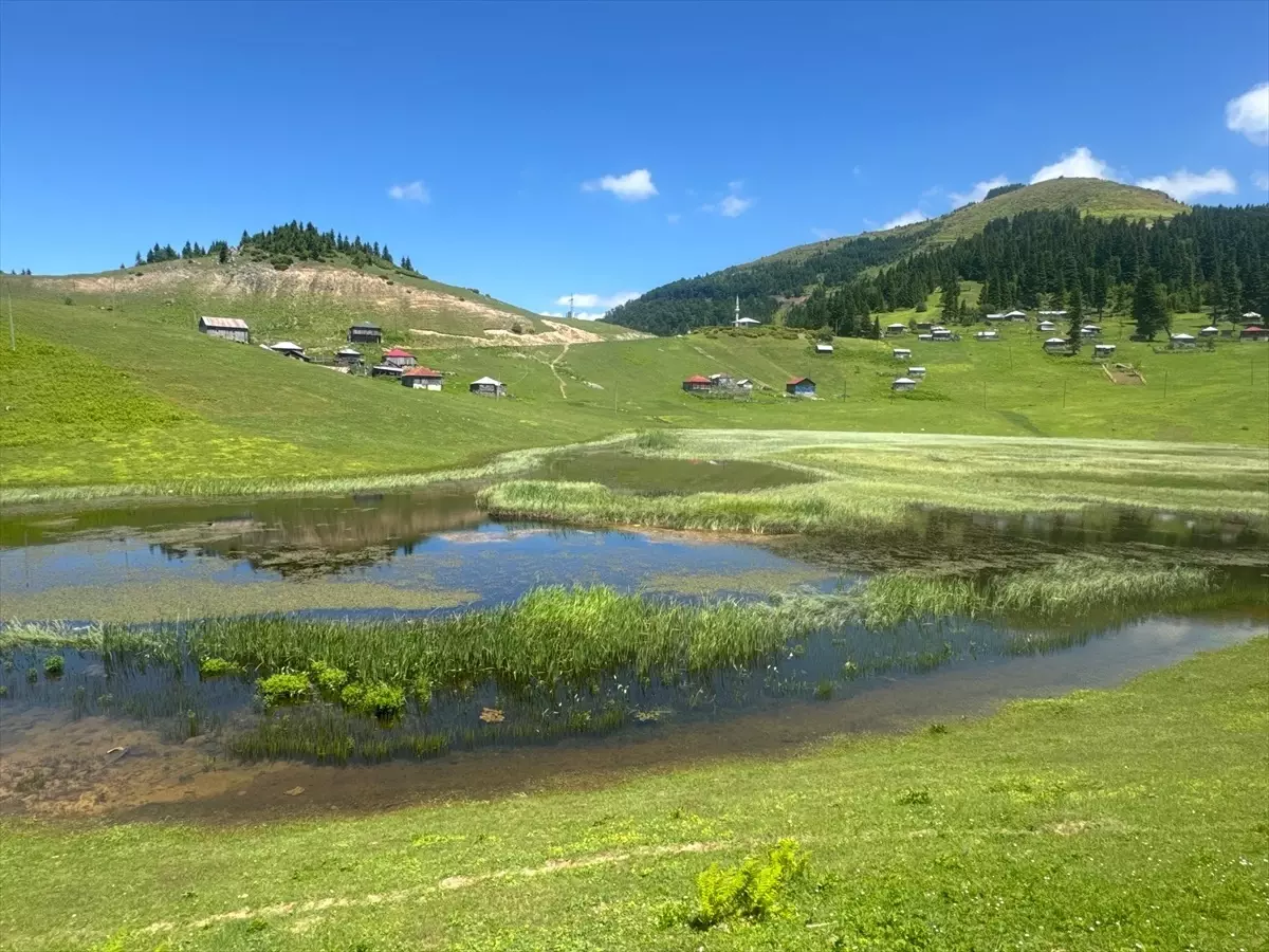 Gölyanı Yaylası, Yeni Turizm Destinasyonu Olma Yolunda