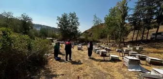 Göynücek'te Arılı Kovan Tespiti Gerçekleştirildi
