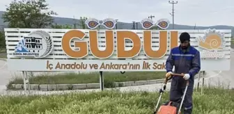 Güdül'de Haşereyle Mücadele Hız Kazandı