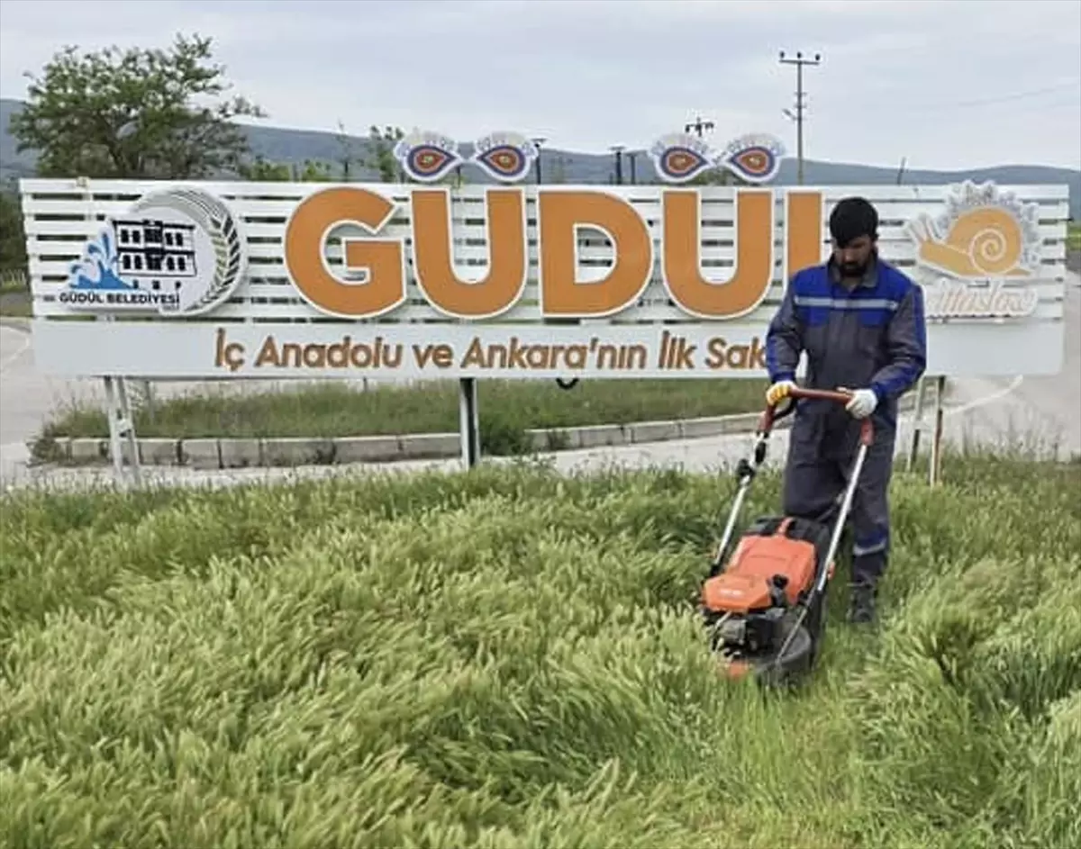 Güdül'de Haşereyle Mücadele Hız Kazandı