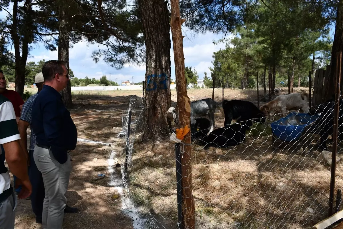 Gülnar Belediye Başkanı Önge, Kurban Satış Alanında İncelemelerde Bulundu