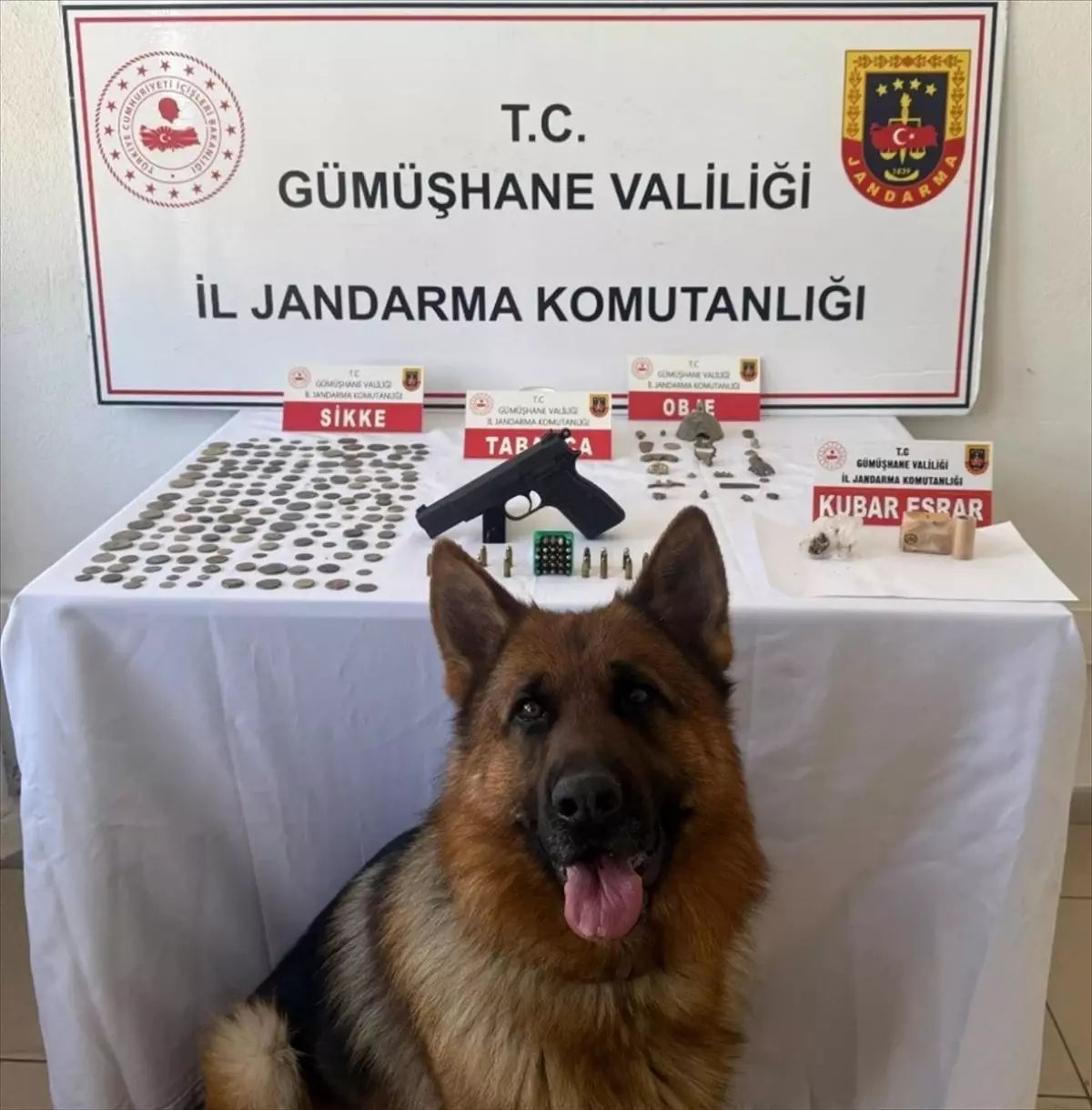 Gümüşhane'de Tarihi Eser ve Kaçak Silah Operasyonu