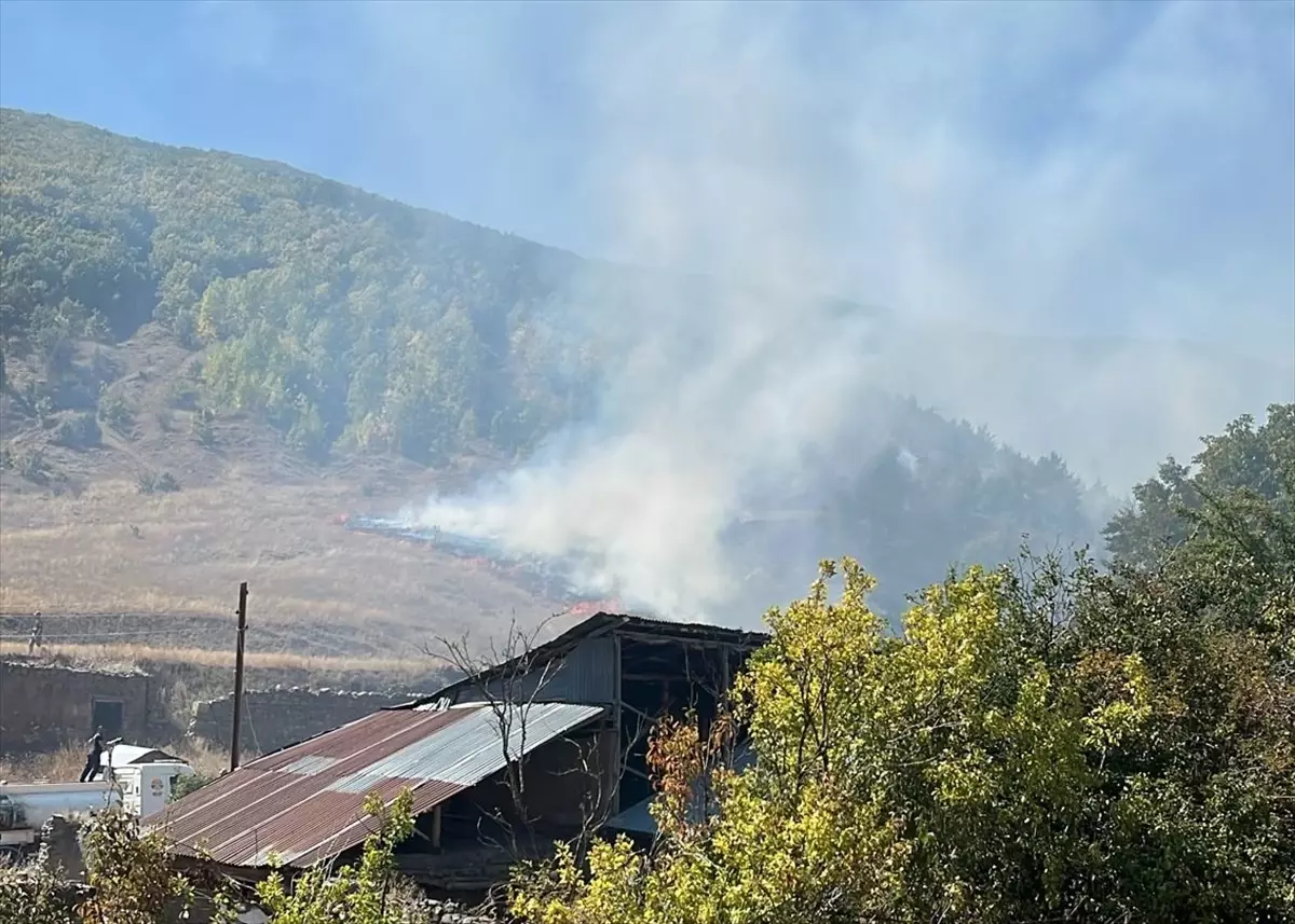 Gümüşhane'de Orman Yangını Kontrol Altına Alındı