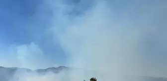 Gümüşhane'de Orman Yangınına Müdahale Başlatıldı