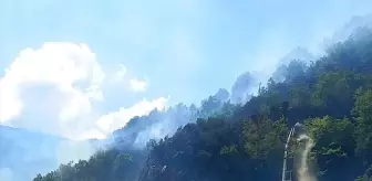 Gümüşhane'de Yangınla Mücadele Sürüyor
