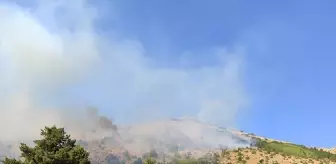 Gümüşhane'de Orman Yangını Kontrol Altına Alındı