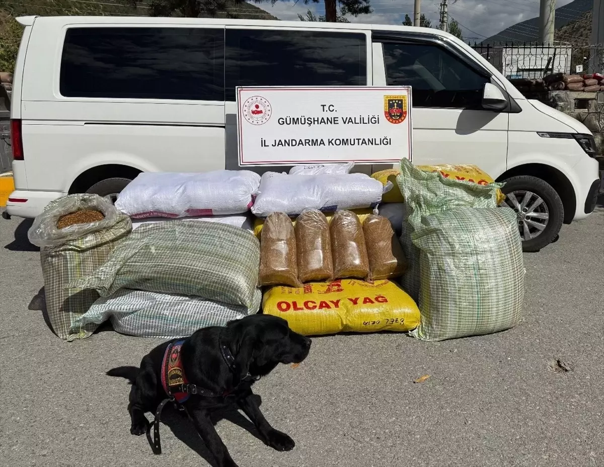 Gümüşhane'de 530 Kilogram Kaçak Tütün Ele Geçirildi