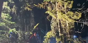 Gümüşhane'de Orman Yangını Kontrol Altına Alındı