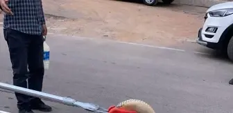 Gümüşhane'de Otomobilin Tekerleğinde Sıkışan Yılan Kurtarıldı