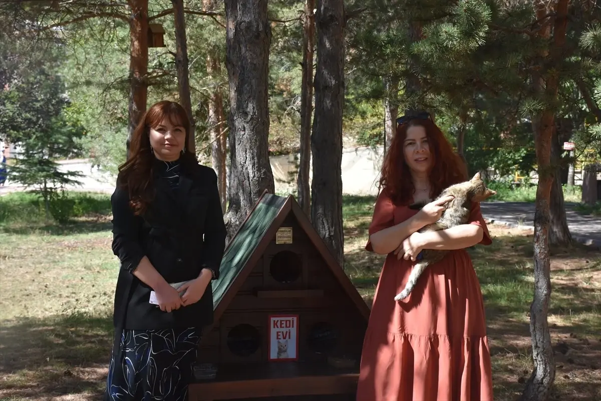 Gümüşhane Üniversitesi'nde Sokak Kedileri İçin 'Kedi Evleri' Kuruldu