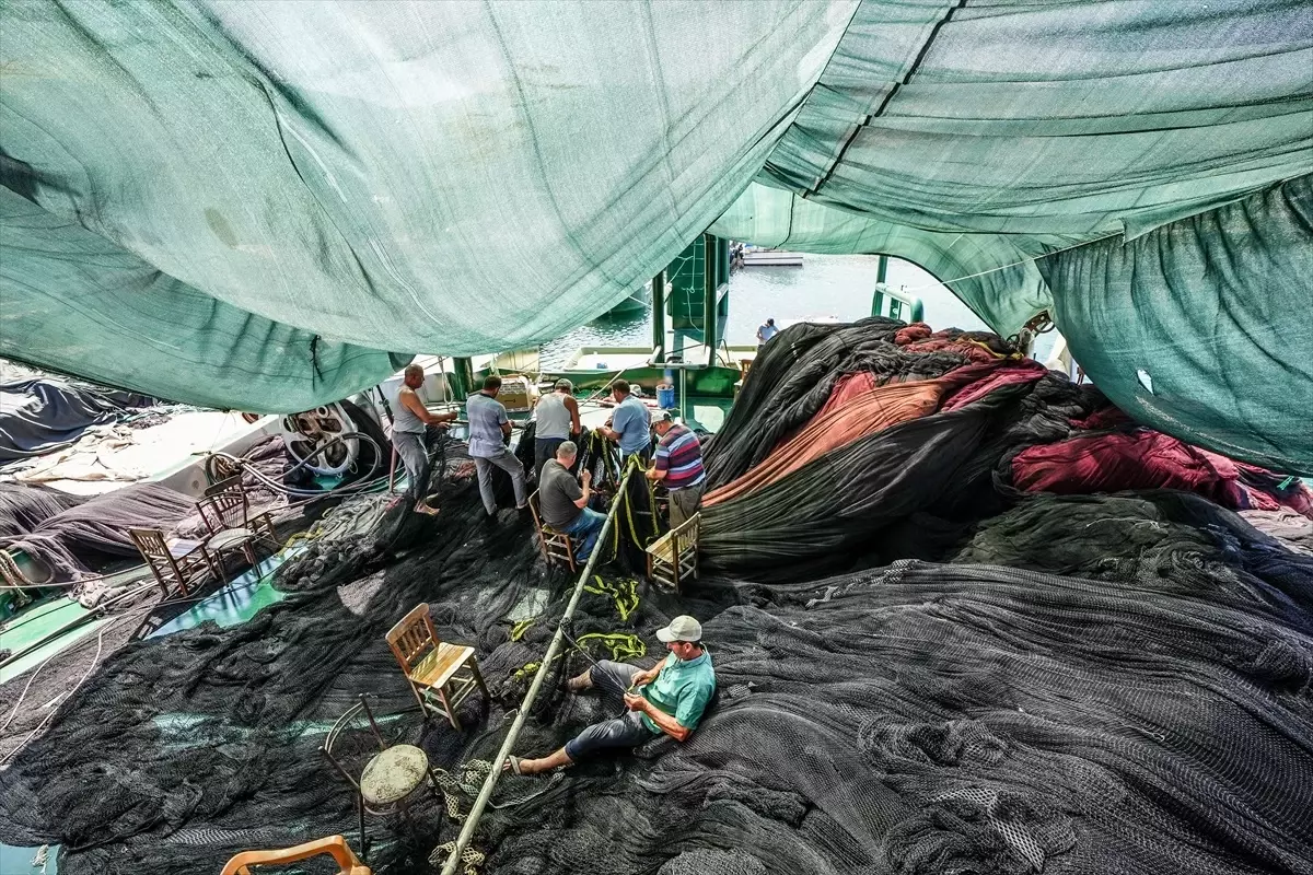Güney Marmara ve Kuzey Ege Balıkçıları Yeni Sezona Hazır!