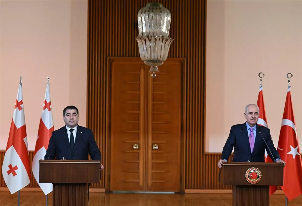 Gürcistan Meclis Başkanı'ndan Orta Koridor Vurgusu