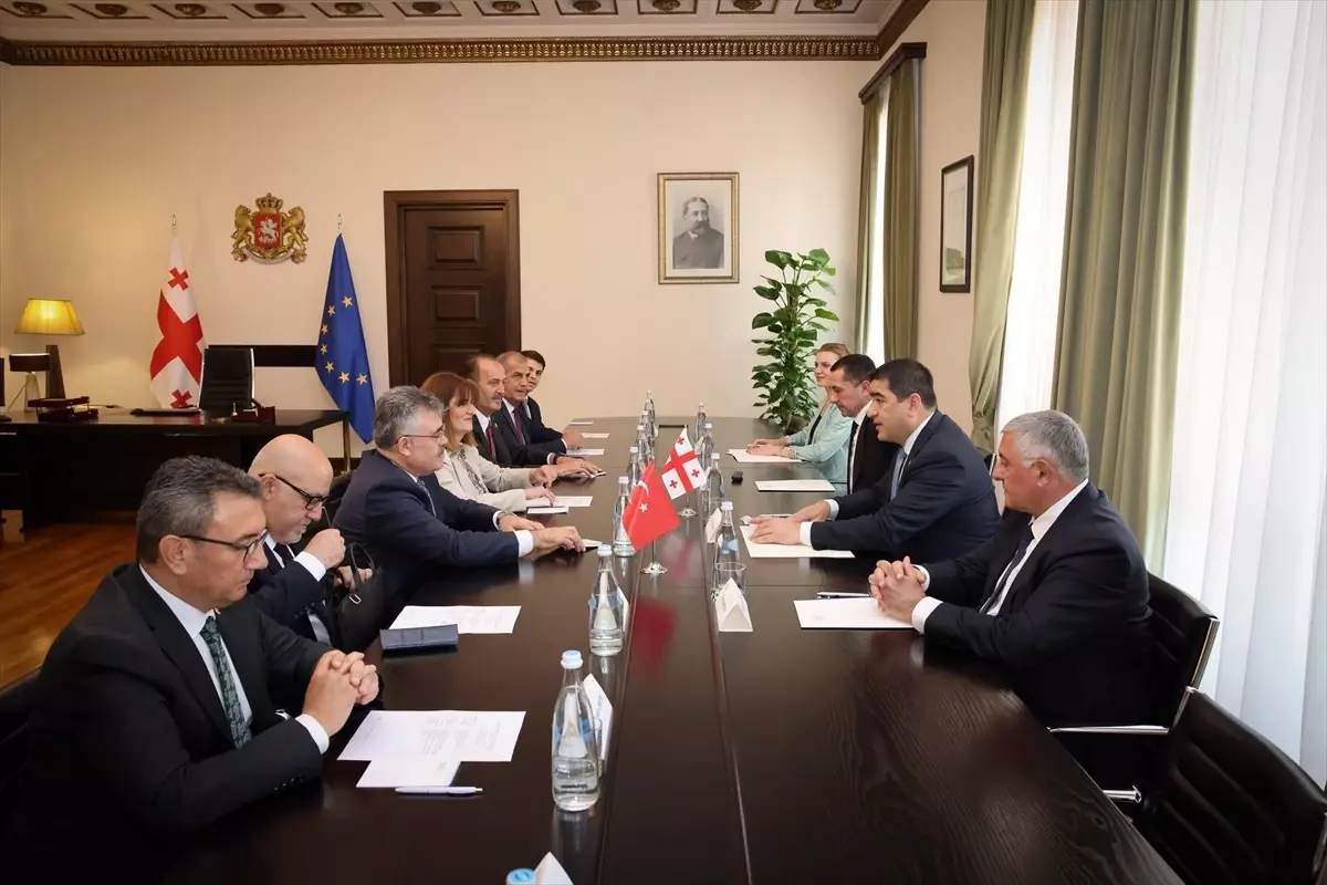 Gürcistan Parlamentosu Başkanı, TBMM Güvenlik ve İstihbarat Komisyonu'nu Kabul Etti