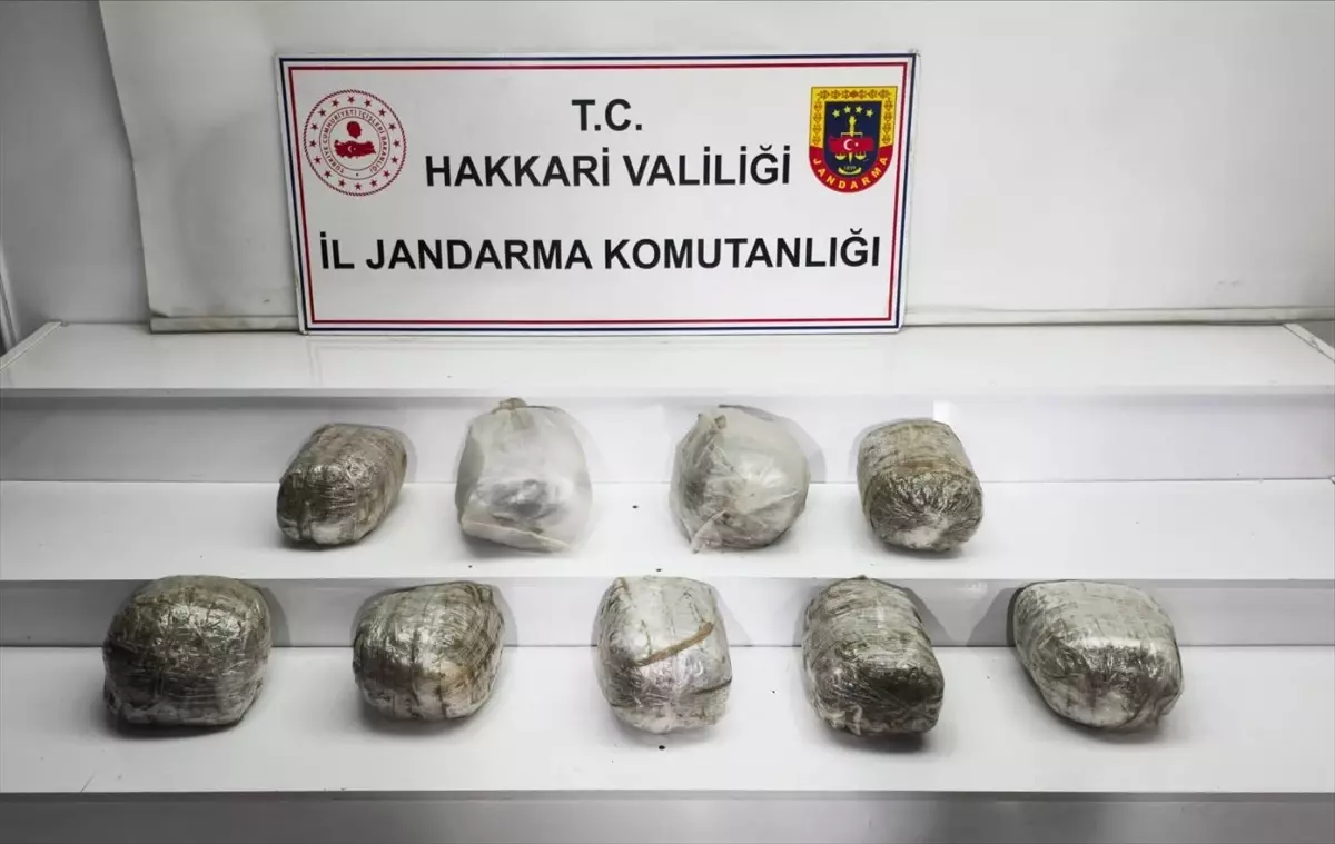 Hakkari'de 14 Kilogram Skunk Ele Geçirildi