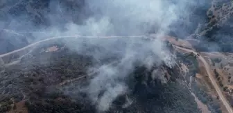 Hakkari'de Ağaçlık Alanda Yangın Söndürüldü
