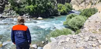 Yüksekova'da Kaybolan Neçir Kom İçin Arama Çalışmaları Yeniden Başladı