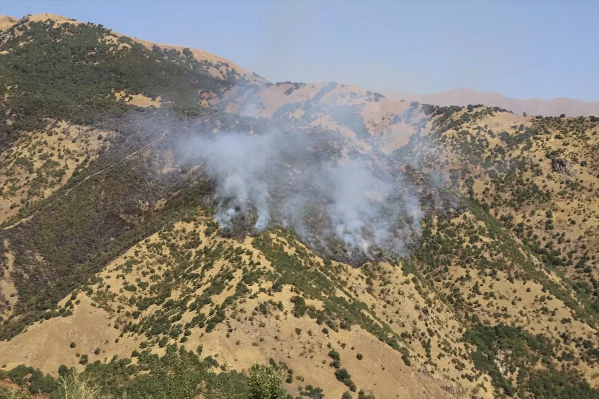 Hakkari'de Orman Yangını: Helikopter Destekli Mücadele