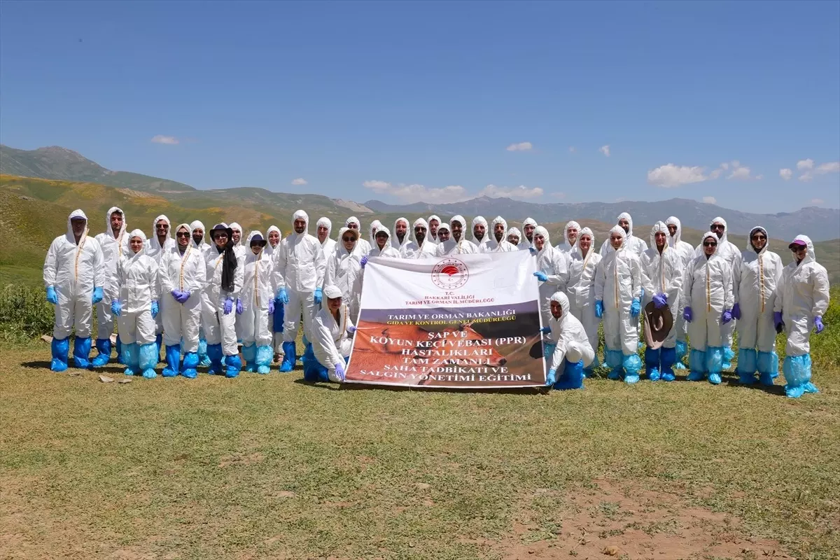 Hakkari'de Şap Hastalığı Eğitimi ve Tatbikatı Düzenlendi