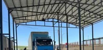 Yüksekova'da Şap Hastalığına Karşı Denetimler Sürüyor