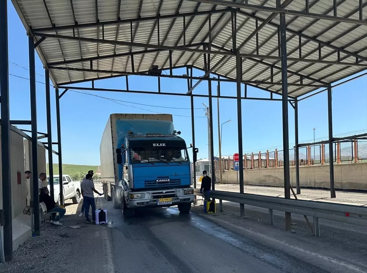 Yüksekova'da Şap Hastalığına Karşı Denetimler Sürüyor