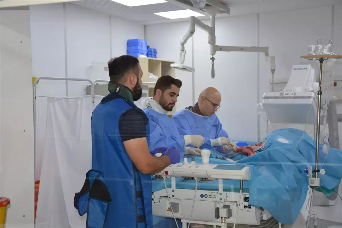 Hakkari Devlet Hastanesi Kalp Merkezi 3.680 Hastaya Tedavi Sundurdu