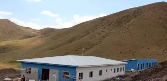 Hakkari'de 1686 Sahipsiz Köpek İçin Barınak ve Doğal Yaşam Alanları Kuruldu