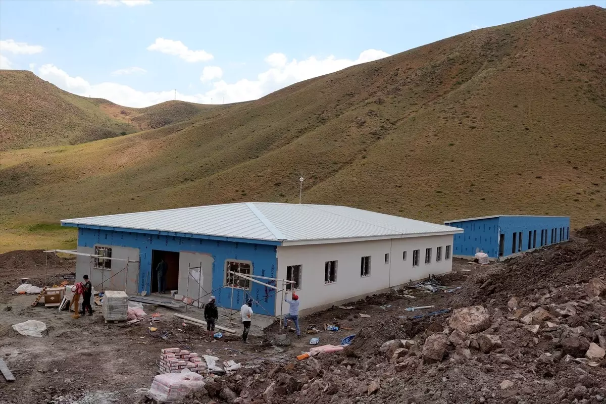 Hakkari'de 1686 Sahipsiz Köpek İçin Barınak ve Doğal Yaşam Alanları Kuruldu