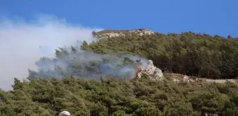 Antakya'da Orman Yangınına Müdahale Devam Ediyor