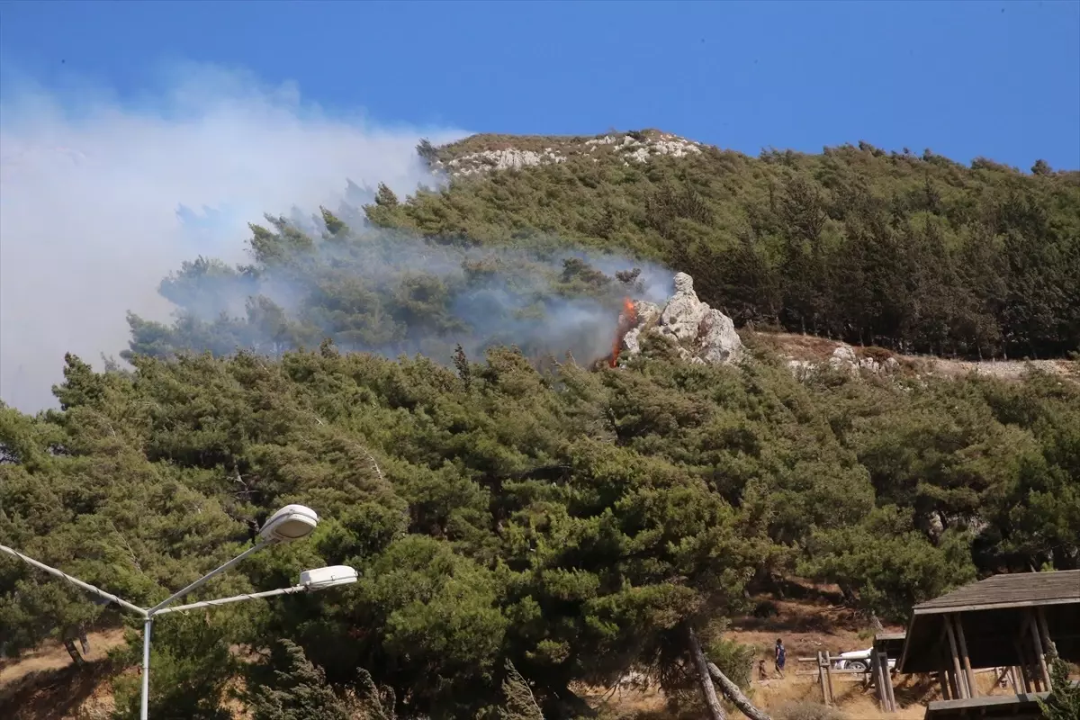 Antakya'da Orman Yangınına Müdahale Devam Ediyor