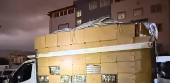 İskenderun'da 2.9 Milyon Kaçak Makaron Ele Geçirildi