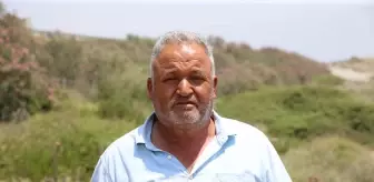 Hatay'da 67 Keçinin Telef Olması Üzerine İnceleme Başlatıldı
