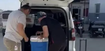 Reyhanlı'da Beyin Ölümü Gerçekleşen Hastanın Karaciğeri Nakil Bekleyen Hastaya Umut Oldu