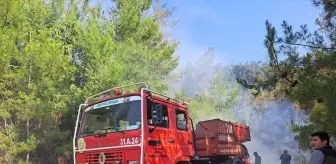 Dörtyol'da Orman Yangını Kontrol Altına Alındı