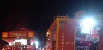 Hatay'ın Defne ilçesinde orman yangını söndürüldü