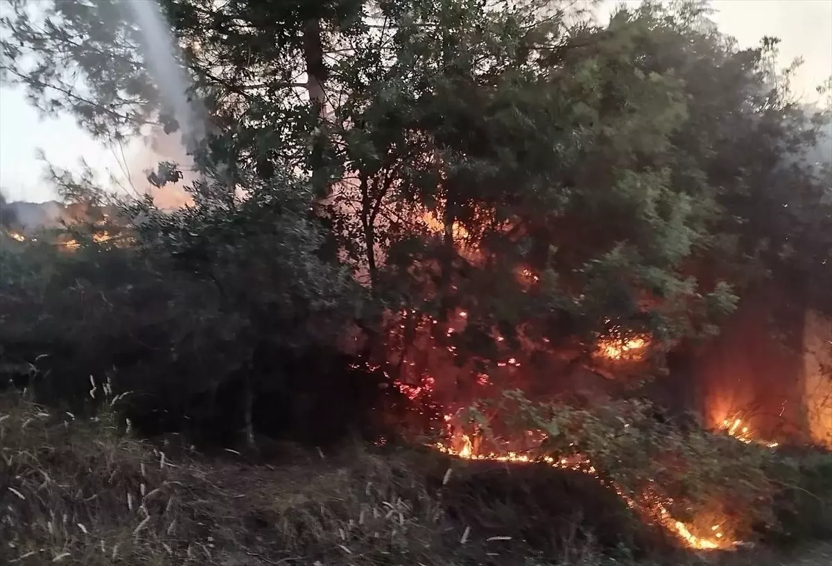 Hatay'ın Dörtyol İlçesinde Orman Yangını Kontrol Altına Alındı