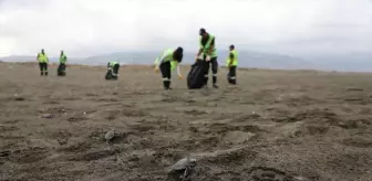 Deniz Kaplumbağalarının Daha Güvenli Yüzme Yolculuğu İçin Sahil Temizliği